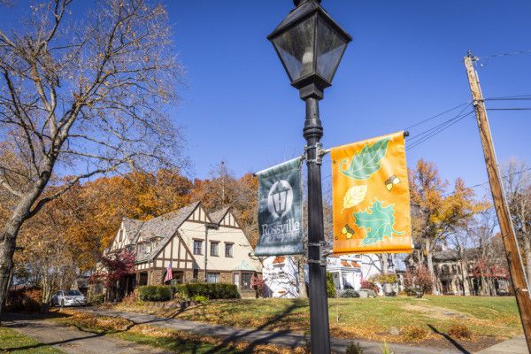 Image file BA4A0166_E903AA21-9A09-F4BB-E65BFC02A9CFCD54-e9039ef99e0cddf_e9040ce3-d334-1d70-c1230ab6d9a1c843.jpg