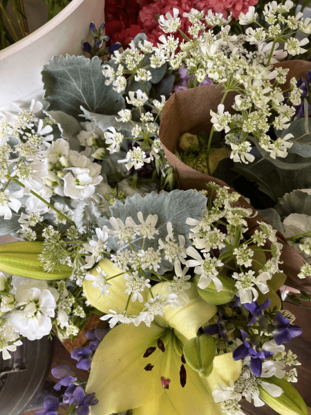 Image file IMG_0378_9F29BBD9-C75F-0AAF-E2B2E0BA88844C97-9f29a016fa12c34_9f29c302-0f2e-0dc9-0d799263d1a5aa07.png