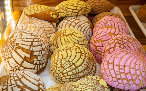 Image file conchaselcamino_1A22CEA3-FF37-72ED-1F497EB66294D4B2-1a22cd729c40d2e_1a22d550-e967-076f-4c0f4fec5d789063.jpg