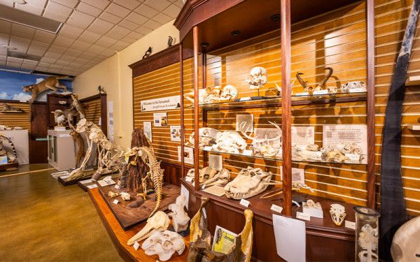 Image file hefnermuseum_41ECEA42-E55F-F684-461000B8AD9EC805-41ece929a6d404e_41ecf1d4-93b0-a3e7-adb53dbf52efece0.jpg