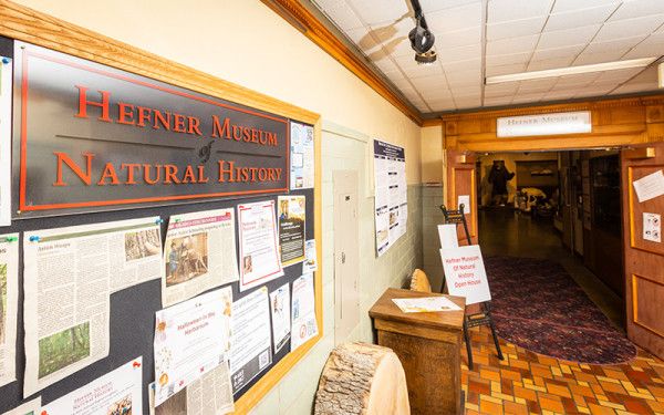 Image file hefnermuseummiami_41EE2882-F6F5-9852-2C141654E48A28ED-41ee27a3cf3d1d3_41ee2ee3-99dd-daf1-1881abb00874eb6b.jpg