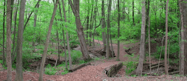 Bull's Run