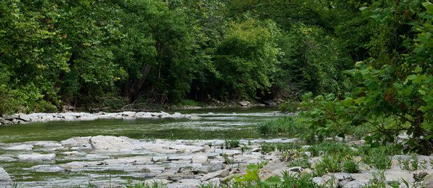 Davidson Woods MetroPark
