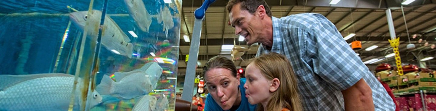 Family at Jungle Jim's Fish Department