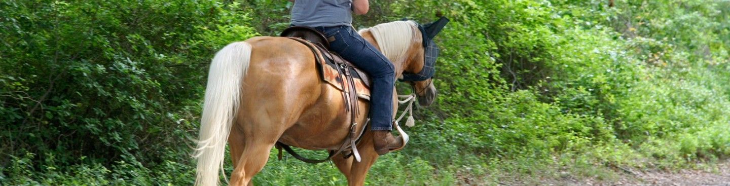 Man on Horse at Sebald MetroPark