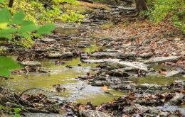 Hiking at Keehner Park, Ohio