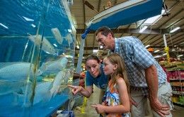 Family at Jungle Jim's Fish Department