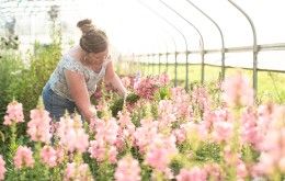 Two Little Buds Florist