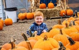 Barn-N-Bunk Farm Market, Trenton Ohio