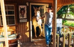 Nation Road Horse Rental, Oxford Ohio