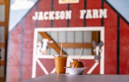 Apple Cider + Caramel Apple