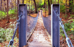 Suspension Bridge