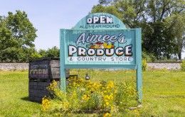 Image file BA4A0813_412B6ECC-F61E-64D2-8ABBCA5222C350E4-412b5e2be5b079d_412bfc15-fdb9-9297-15f6d3d7fadfef77.jpg