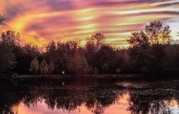 Image file Gilmore-Ponds-Metropark-Sunset_fab9bb29-5056-a36a-098af9149ce45b1f.jpg