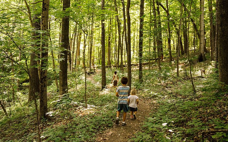 3 kids walk through the forest at Hueston Woods State Park