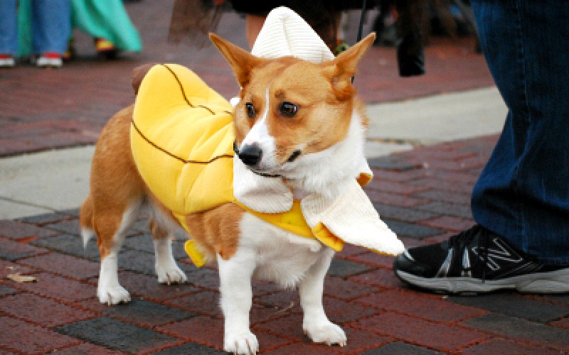 Uptown Trick or Treat