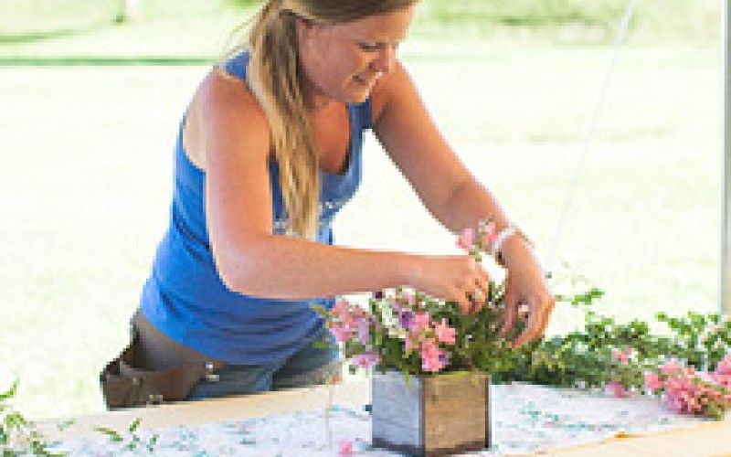 Image file morningsunflowerfarm.jpg