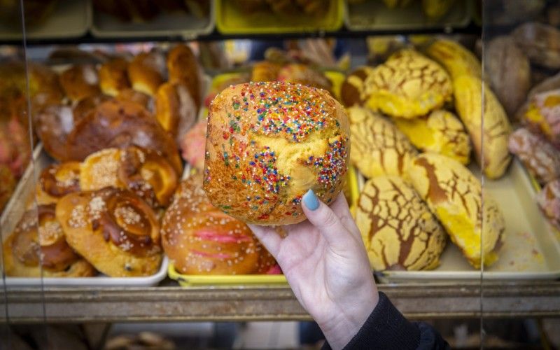 Image file BA4A4934_BDF92851-0965-4FDB-1F70F453415B11F7-bdf903f4e7ce313_bdf9bfc7-c4a7-3fa2-f6775ebe7ba528af.jpg