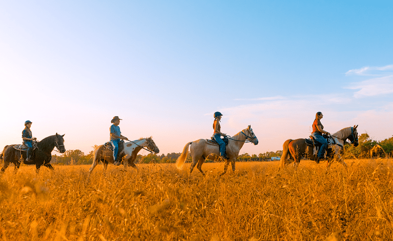 Nation Road Horse Rental