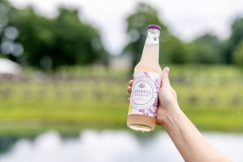 Lavender Lemonade