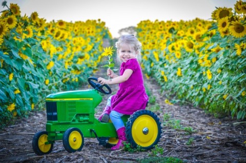 Burwinkel Farms