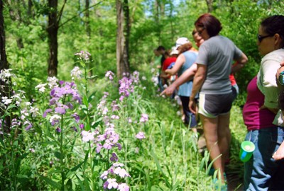 Wildflower Walk Oxford, Ohio