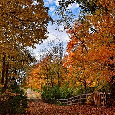 Dudley Memorial Park