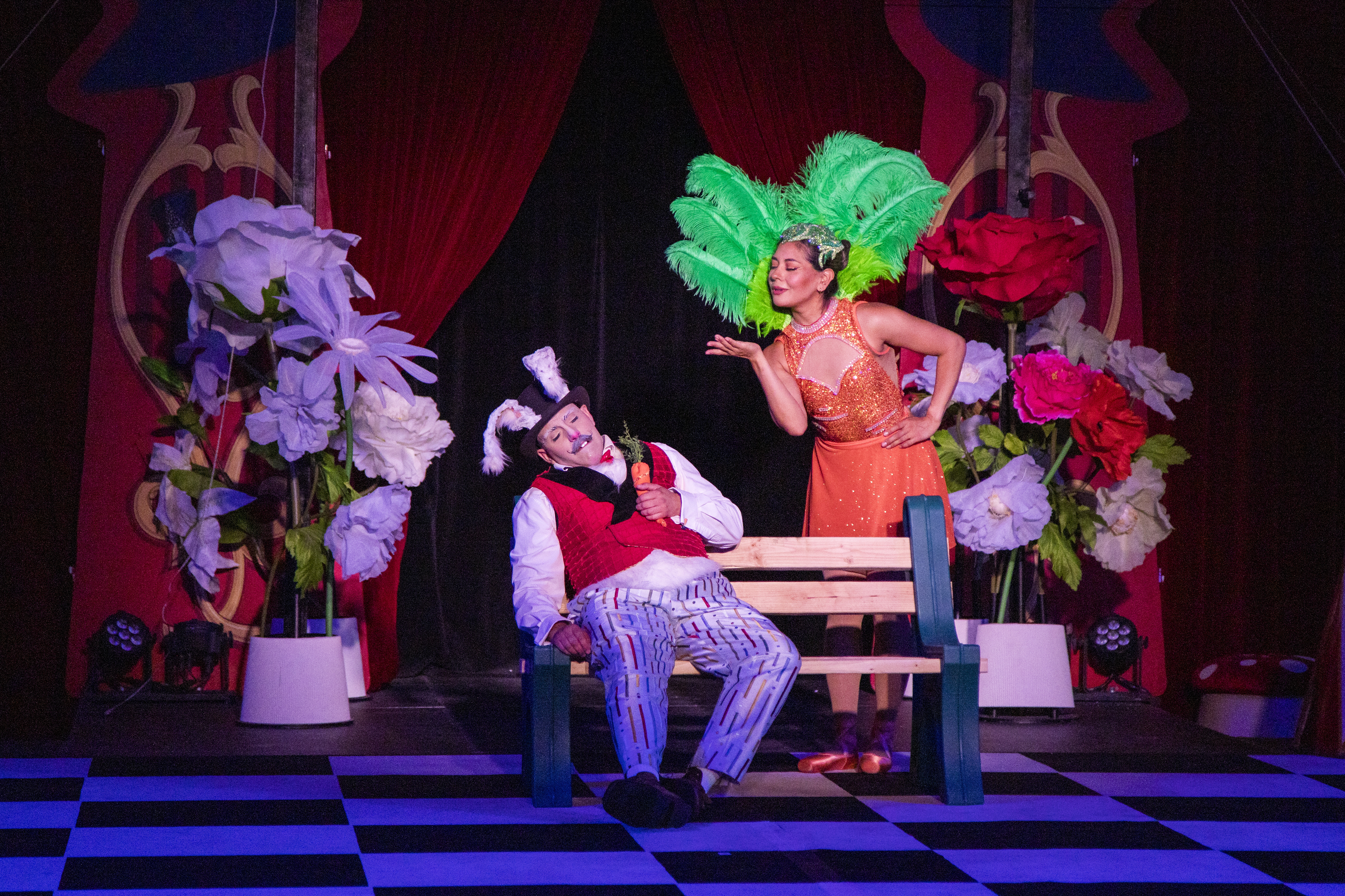 Circus