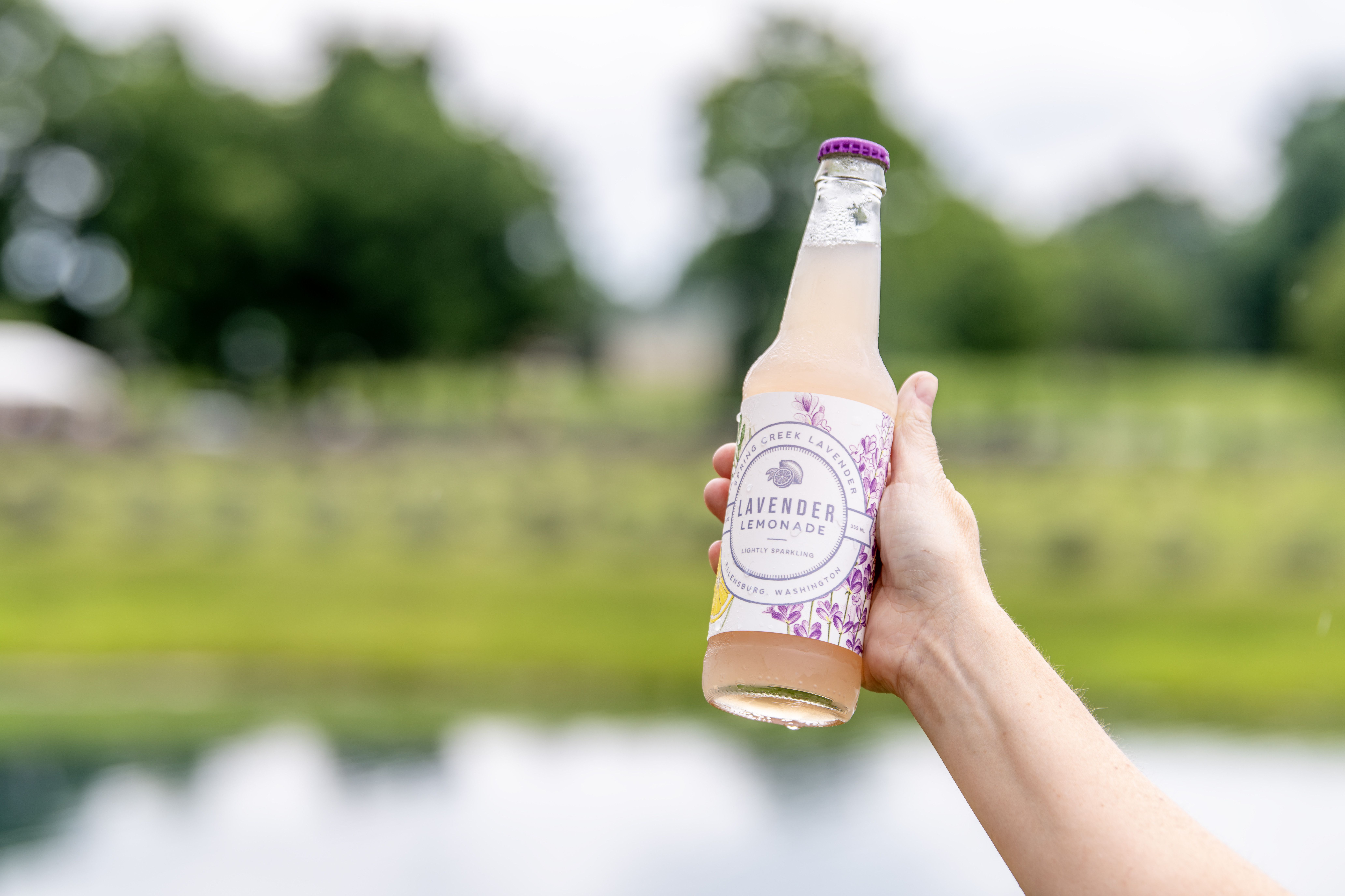 Lavender Lemonade
