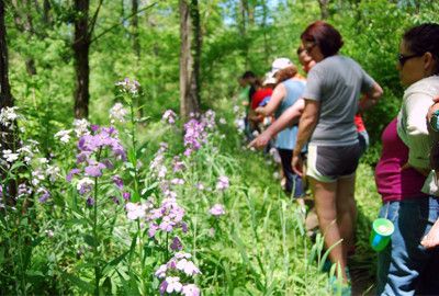 Wildflower Walk Oxford, Ohio